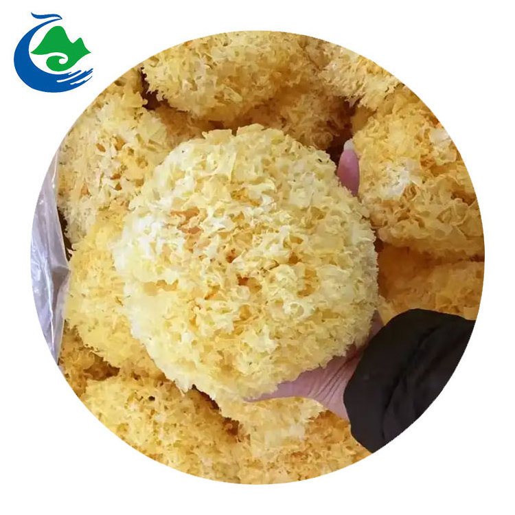 Wholesale Tremella Mushrooms Dried Tremella Snow Fungus