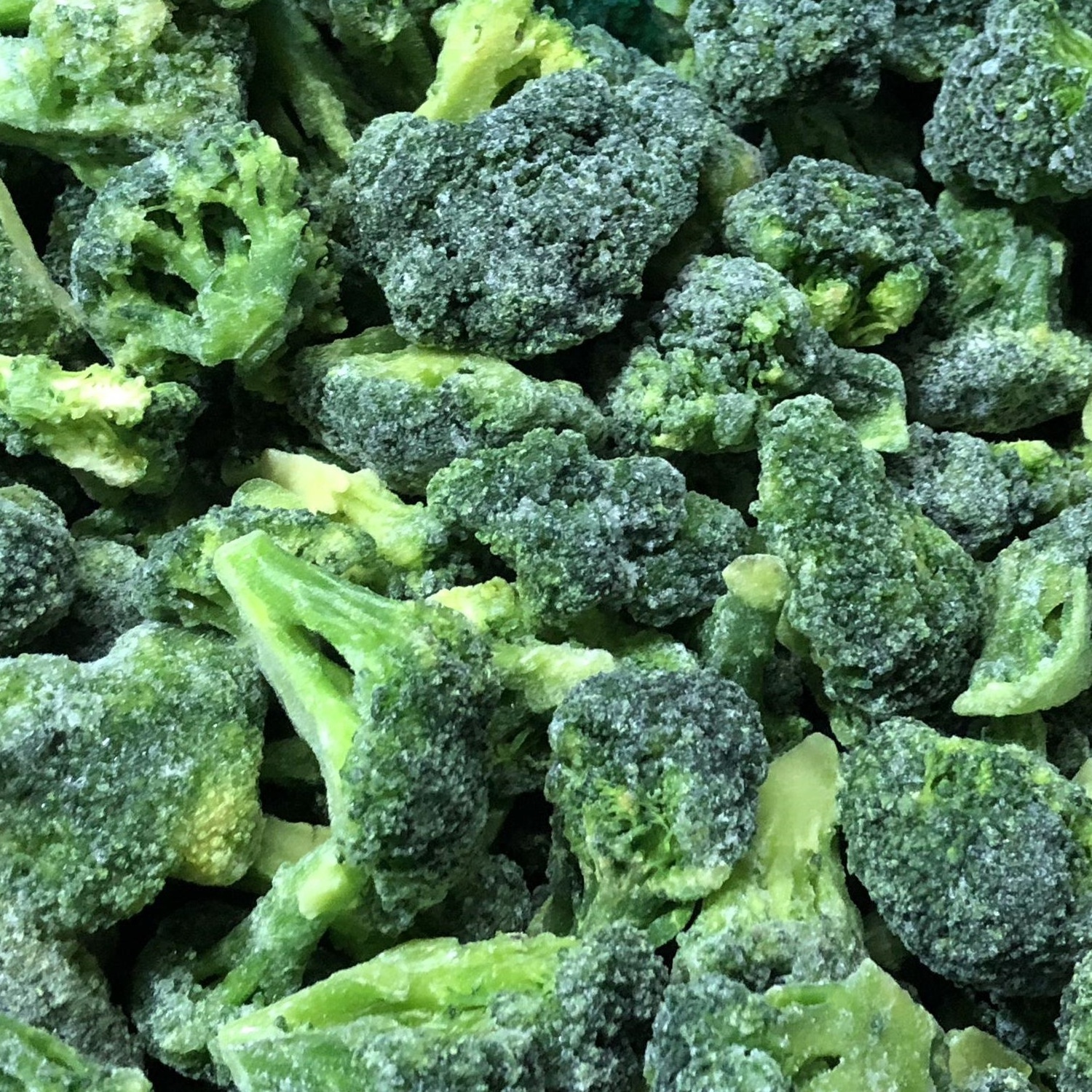 Frozen Vegetables IQF Mini Broccoli