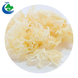 Wholesale Tremella Mushrooms Dried Tremella Snow Fungus