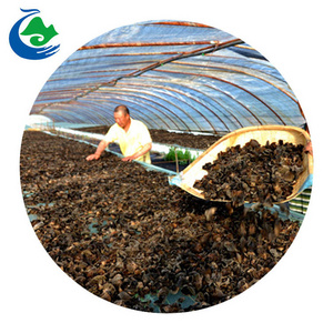 Wholesale Bulk Price Raw Material Dried Agaric Black Fungus Mushroom