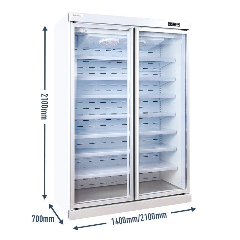 Vertical Freezer Upright Display Cooler Refrigeration Equipment Double Glass Door Fridge