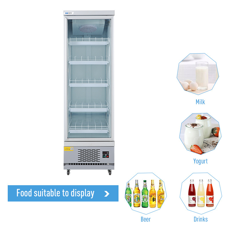 Single glass door vertical beverage refrigerator cooler