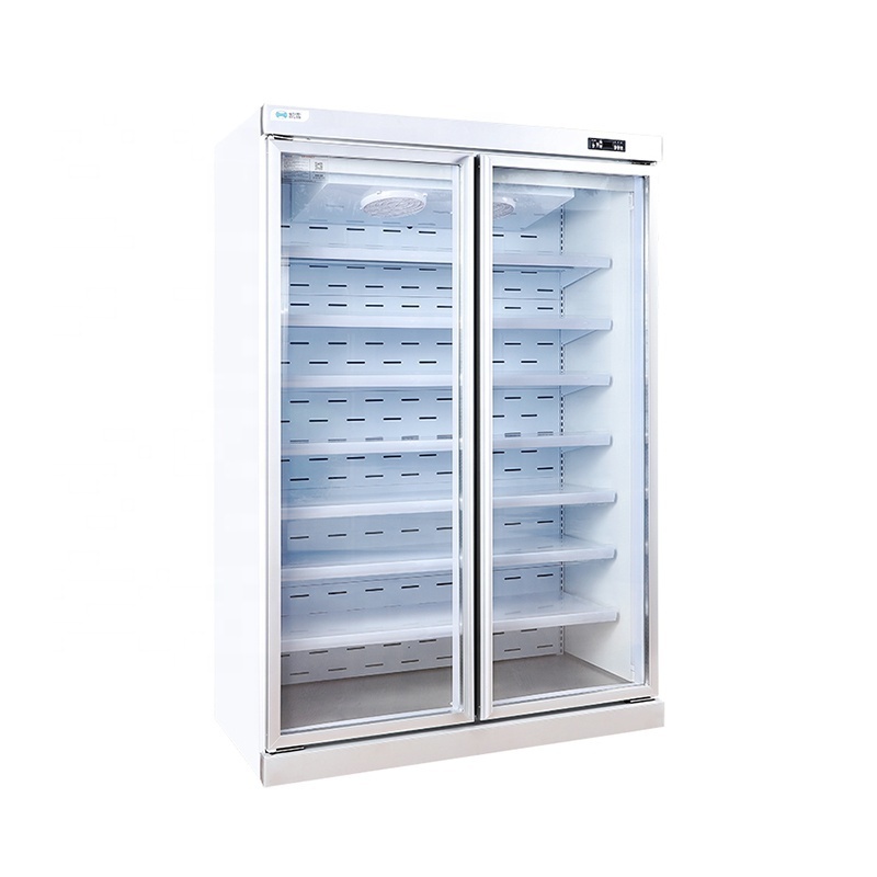 Vertical Freezer Upright Display Cooler Refrigeration Equipment Double Glass Door Fridge