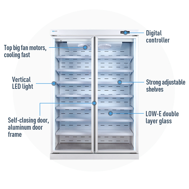 Vertical Freezer Upright Display Cooler Refrigeration Equipment Double Glass Door Fridge