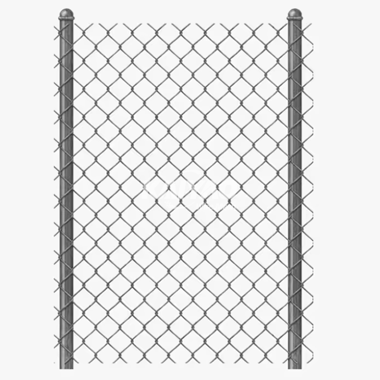 Affordable 6-foot Vinyl Coated Black Residential Chain Link Fence with Double Swing Gates and Single Swing Gates