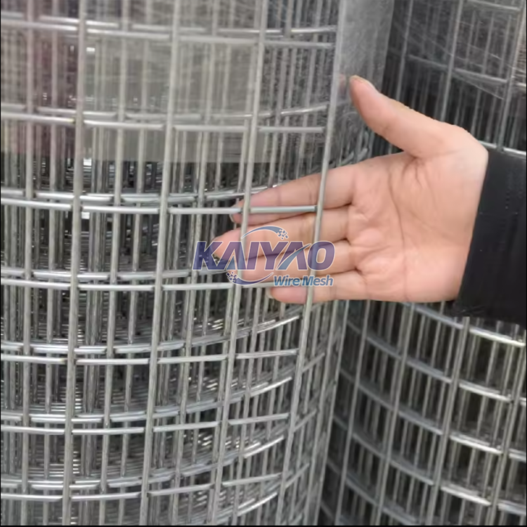 Hot-selling Iron Dutch Woven Wire Mesh Panel, 10x10 Iron Mesh