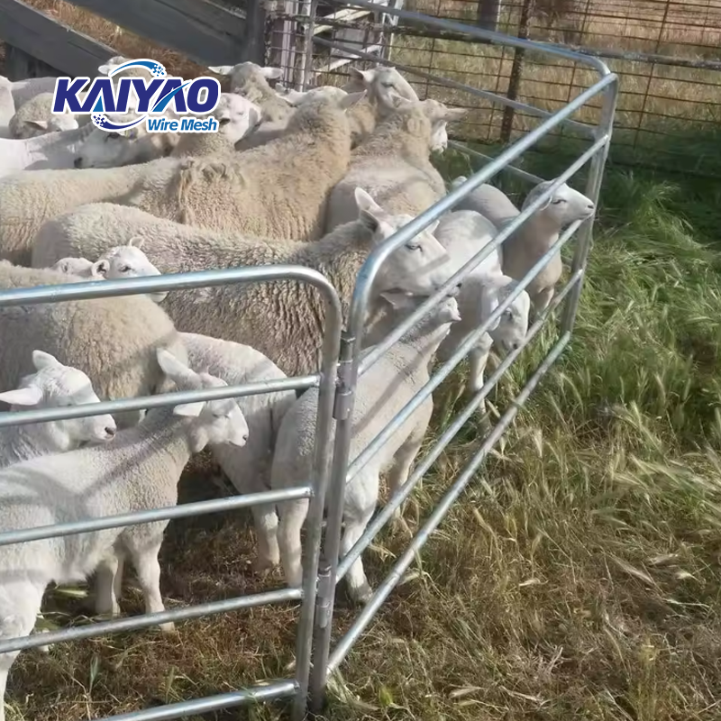 Direct Sales Manufacturers: Hot-Dip Galvanized Metal Fence Panels for Farms and Livestock for Cattle, Sheep, and Horses