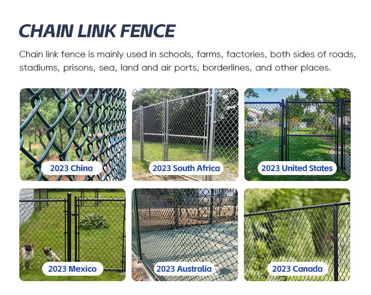 Affordable 6-foot Vinyl Coated Black Residential Chain Link Fence with Double Swing Gates and Single Swing Gates