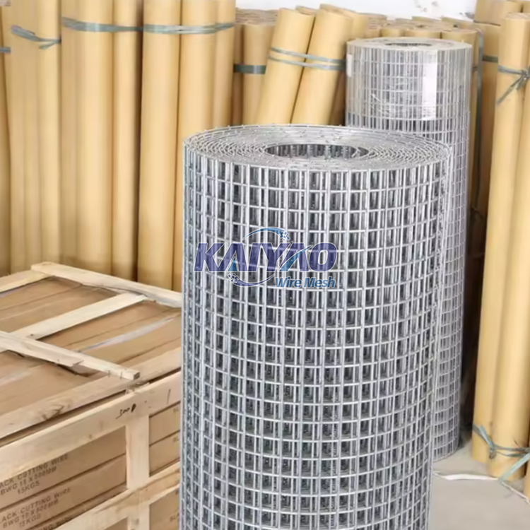 Hot-selling Iron Dutch Woven Wire Mesh Panel, 10x10 Iron Mesh