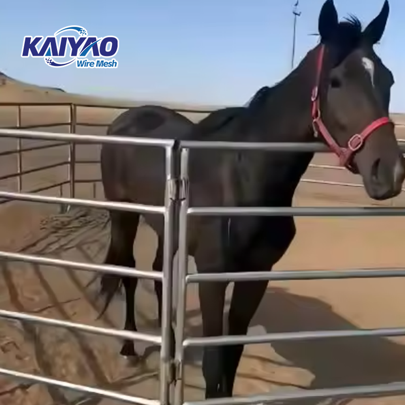 1800mm*2100mm Heavy-Duty Galvanized Cattle Panels for Livestock Farming in the Pastoral Industry