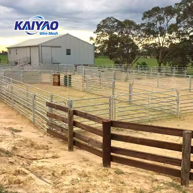 1800mm*2100mm Heavy-Duty Galvanized Cattle Panels for Livestock Farming in the Pastoral Industry