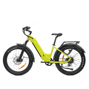 KAIYI electric bike 2 wheels cargo ebike cruiser fat tire 1000w peak power 1500w rear hub motor dirt electric bicycle trailer