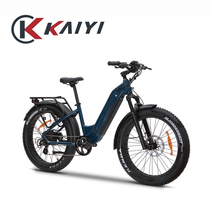 KAIYI 26x4.0 26x4.5 Ebike Fat Electric Cargo Bike Mid Drive Conversion Kit 48v 1000w Electric Bicycle Hub Lithium Battery Smart