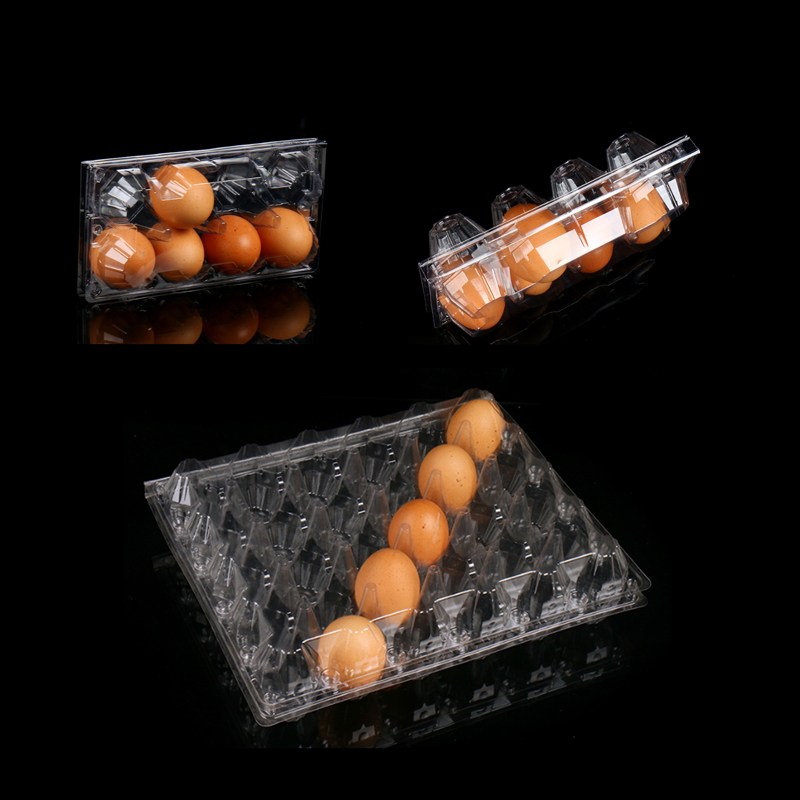 Wholesale 10 12 15 18 20 24 30 Holes Clear Quail Egg Tray  Pet Transparent Rectangle Packaging For Quail Egg