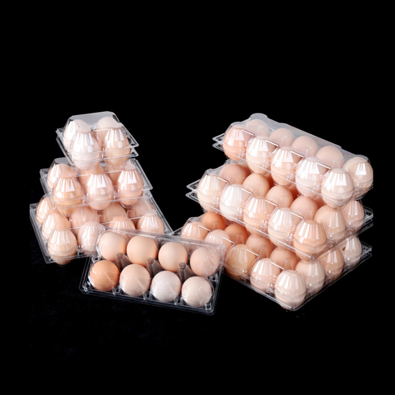 Wholesale 10 12 15 18 20 24 30 Holes Clear Quail Egg Tray  Pet Transparent Rectangle Packaging For Quail Egg