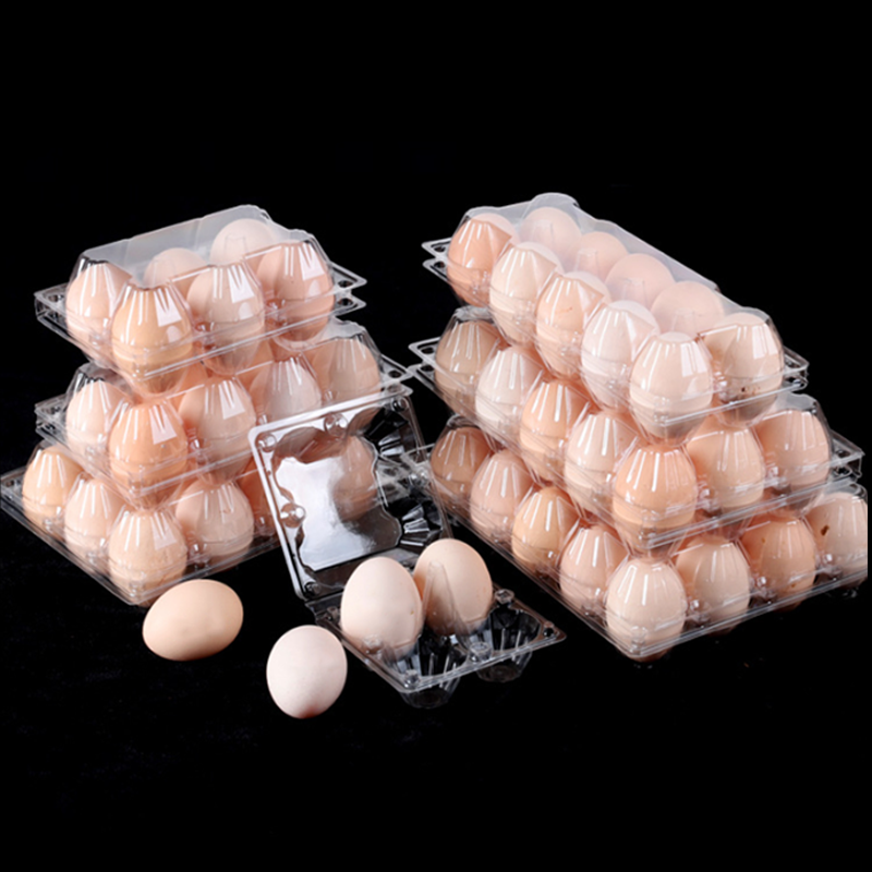 Wholesale 10 12 15 18 20 24 30 Holes Clear Quail Egg Tray  Pet Transparent Rectangle Packaging For Quail Egg