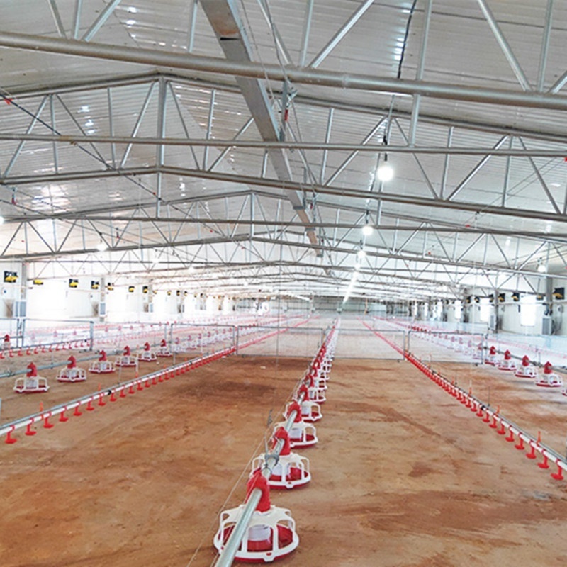 Broiler Breeder Feeder Pan Shed Feeding Line System Ground Raising Chicken House Poultry Farm Equipment Automatic