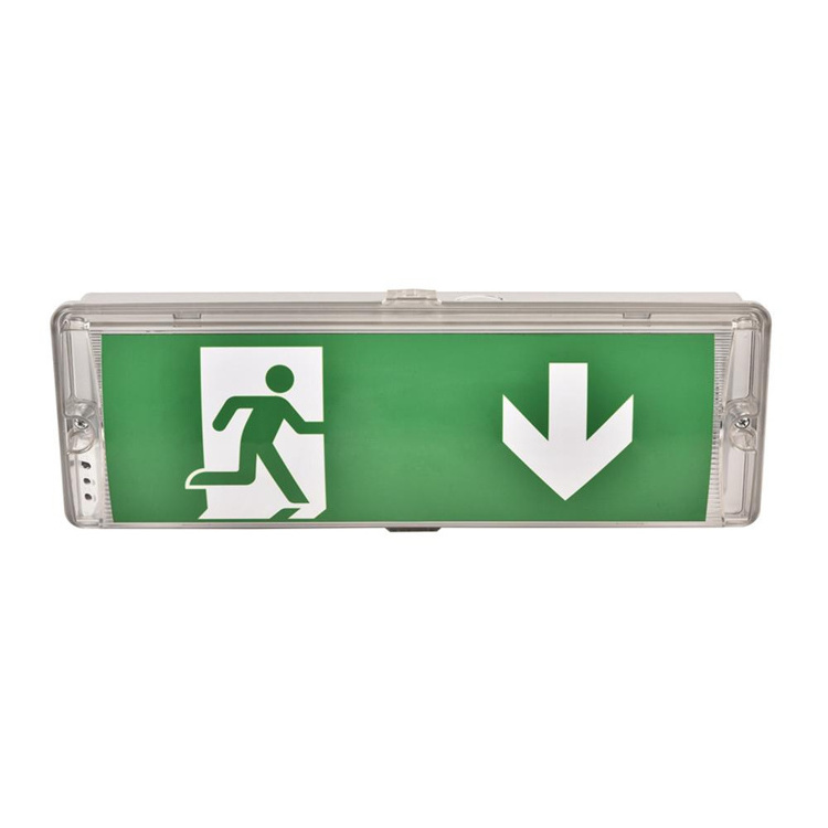 Customized Escape Exit Industrial corridor rechargeable led exit emergency light