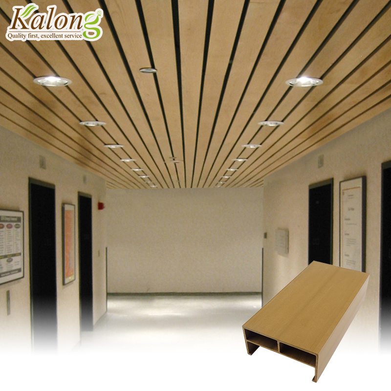 Modern Style WPC Roof Ceiling Wood Plastic Composite Baffle Ceilings False Interior Ceiling Design in WPC