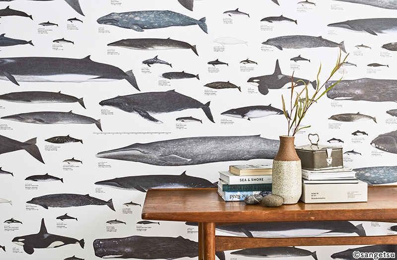 Interior decor modern self adhesive room design ocean fish wallpaper