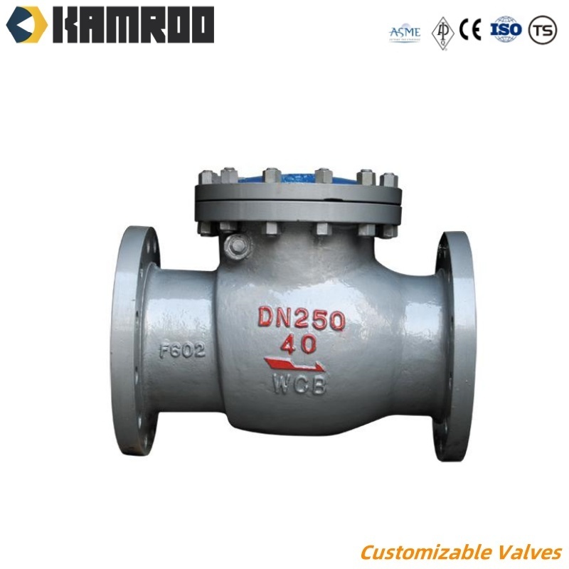 Kamroo Cast Ductile Iron Stainless Steel Flanged Dual Plate Flanged Non Return Check Valve