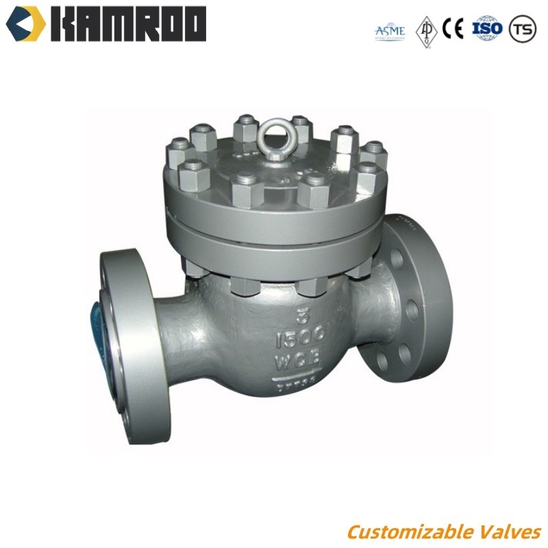 Kamroo Pn16 Pn25 DIN Steel Valves Stellite Overlay Ball Type Swing Lift Check Valve