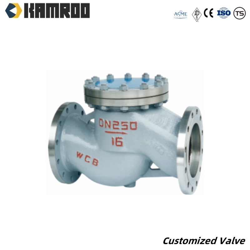 Kamroo Cast Ductile Iron Stainless Steel Flanged Dual Plate Flanged Non Return Check Valve