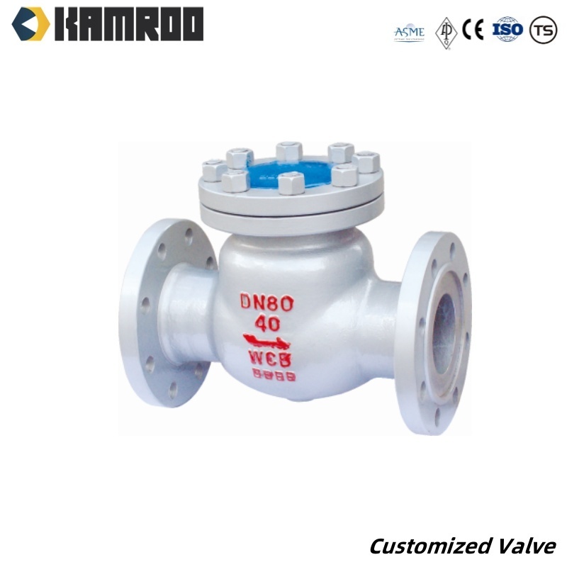 Kamroo Cast Ductile Iron Stainless Steel Flanged Dual Plate Flanged Non Return Check Valve