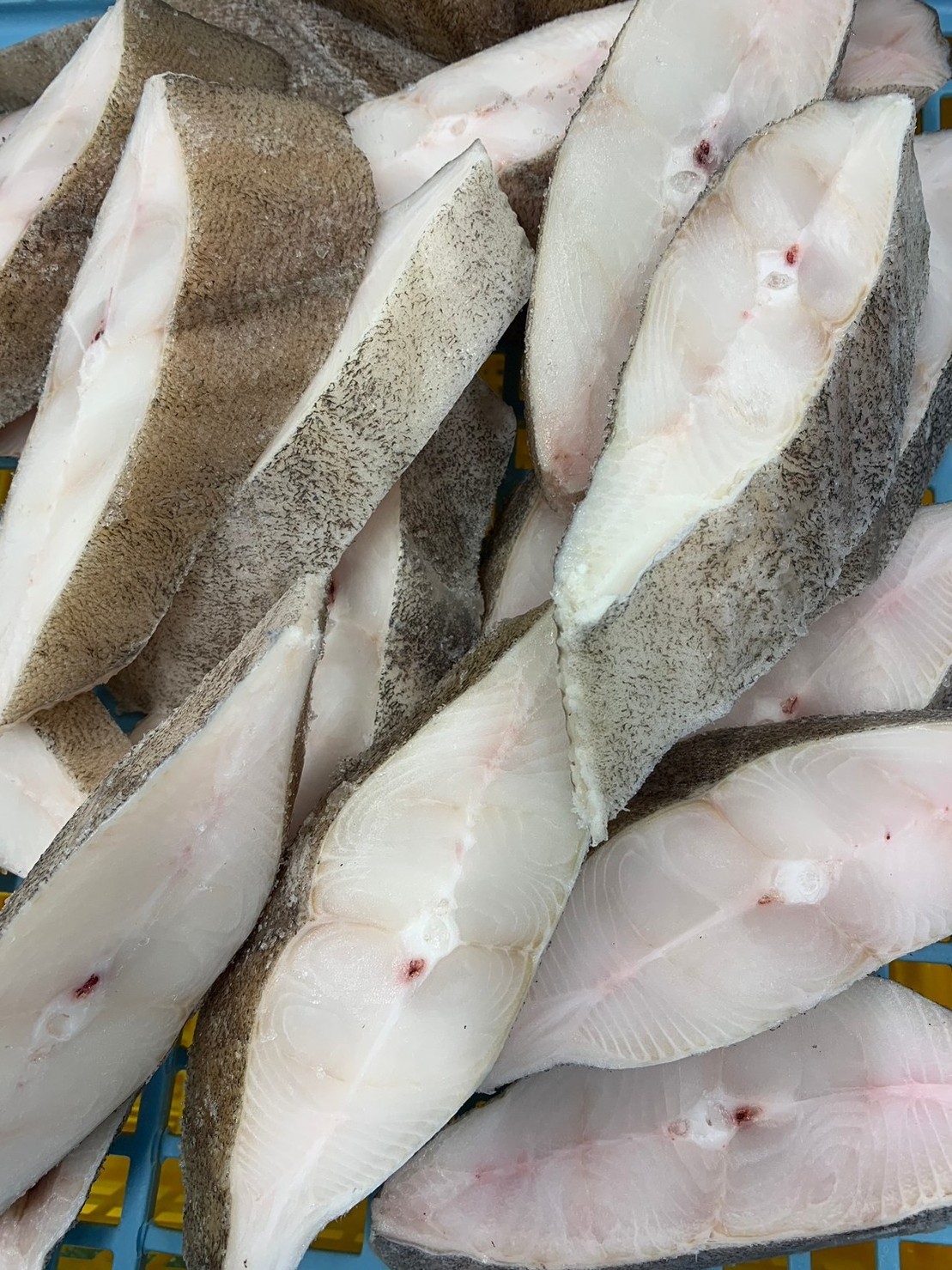 Japanese halibut sliced cut fish food wholesale frozen seafoods