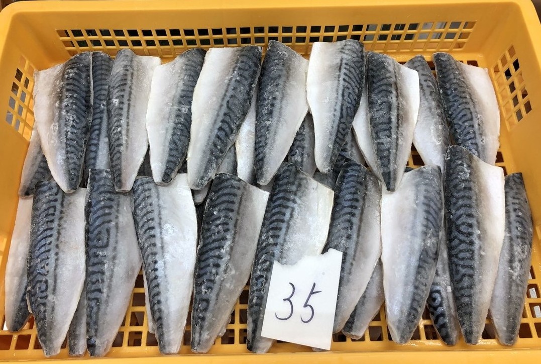 Bulk high quality fat fish frozen mackerel in china wholesale