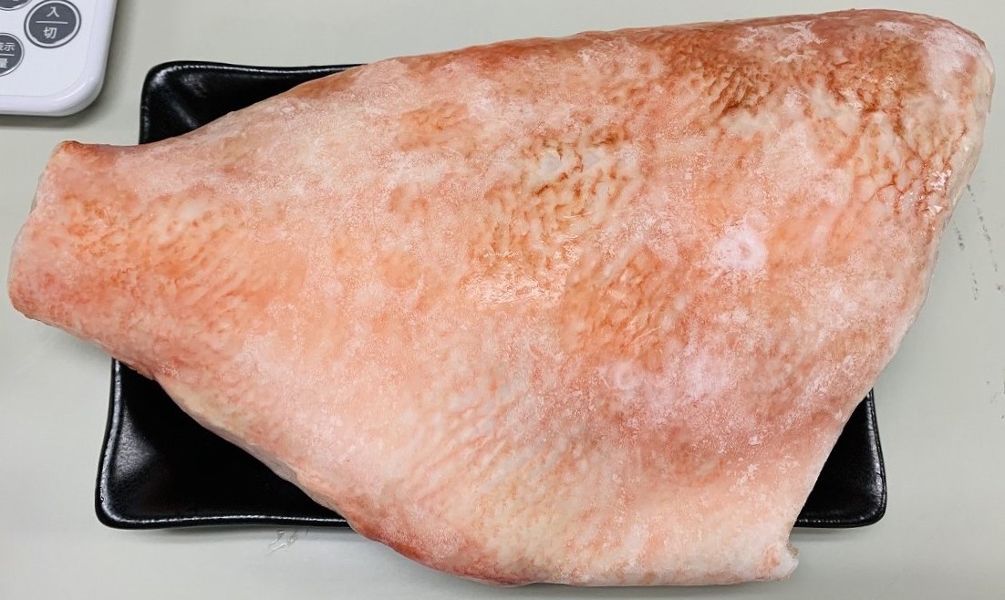 High fat filleted red fish frozen food fishing products seafood