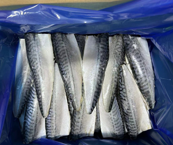 Bulk high-quality fat mackerel fish fillets frozen food in China