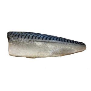 Bulk high quality fat fish frozen mackerel in china wholesale