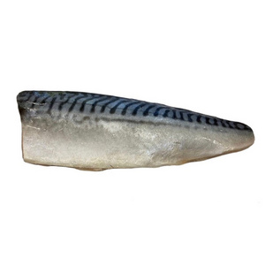 Wholesale high quality filleted frozen mackerel fish from China