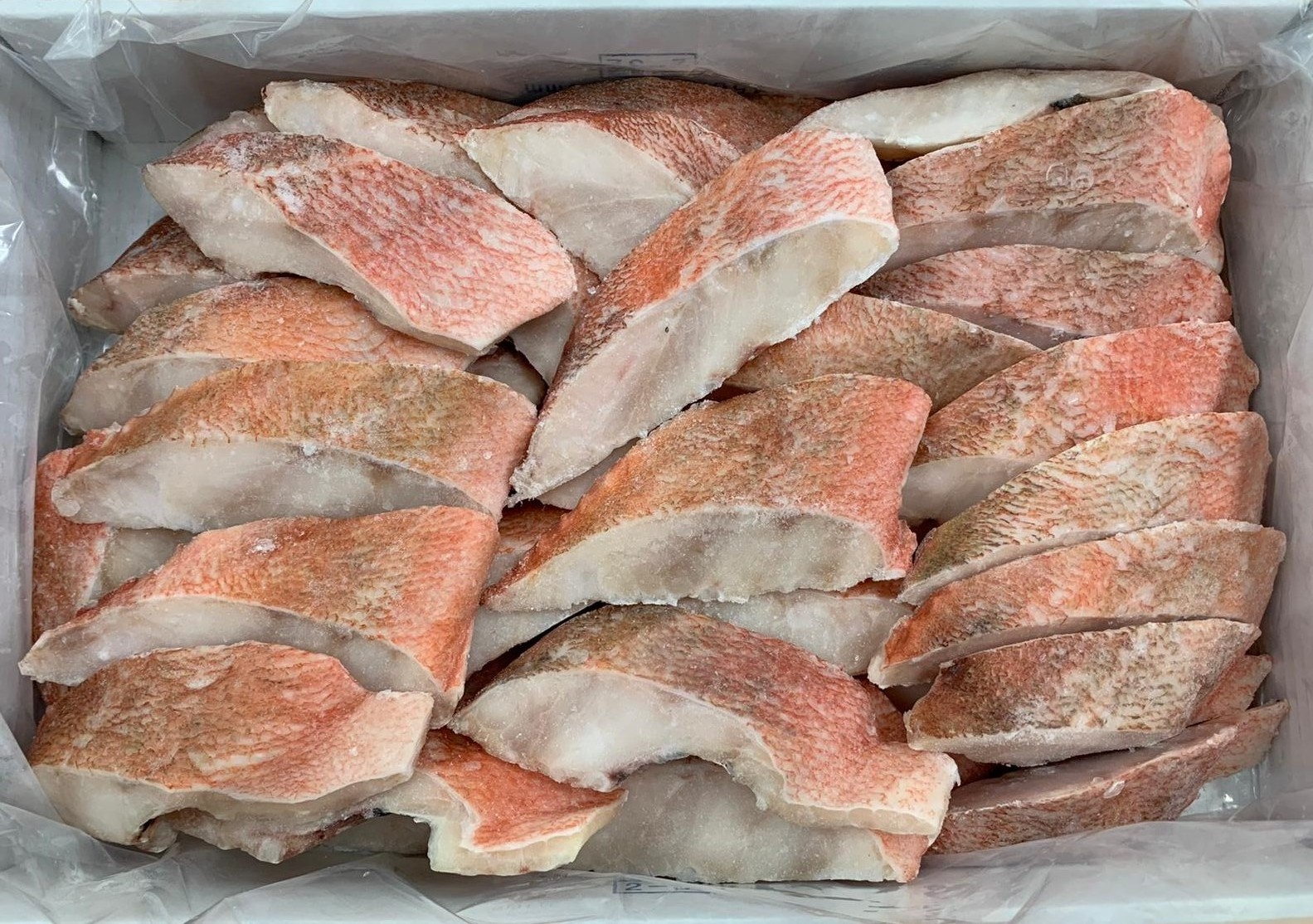 High fat filleted red fish frozen food fishing products seafood