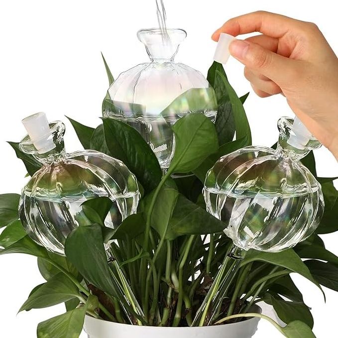 New Design Plant Self Watering Globes Automatic Watering Device Globes Plant Indoor Watering Bulbs