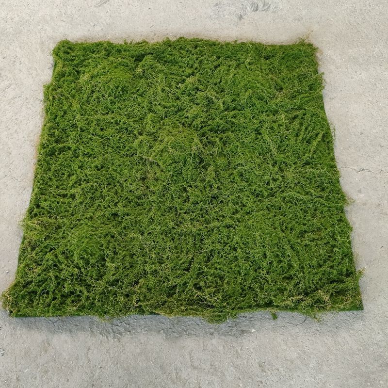 Ecofriendly Natural Faux Moss Wall Panel For Home Office Decor Artificial Moss Wall Art