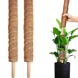 12 Inch Natural Tomato Moss Sticks For Indoor Plant Support Climbing Moss Pole For Plants Monstera Gardening Stick