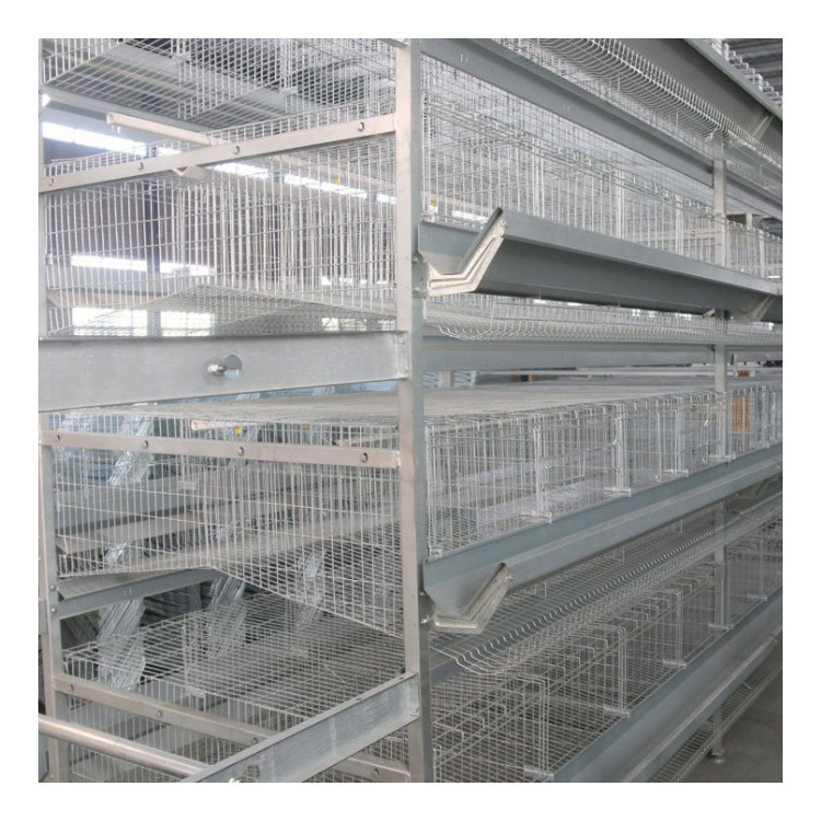 Full automatic baby layer broiler chicken brooder hot galvanized layer small chicken cage for chicken farm