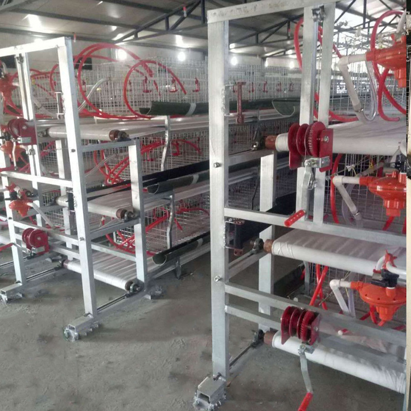 capacity broiler chicken cage broiler system chicken farm layer poultry battery cage