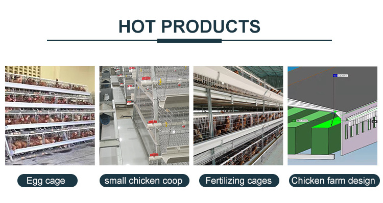 capacity broiler chicken cage broiler system chicken farm layer poultry battery cage