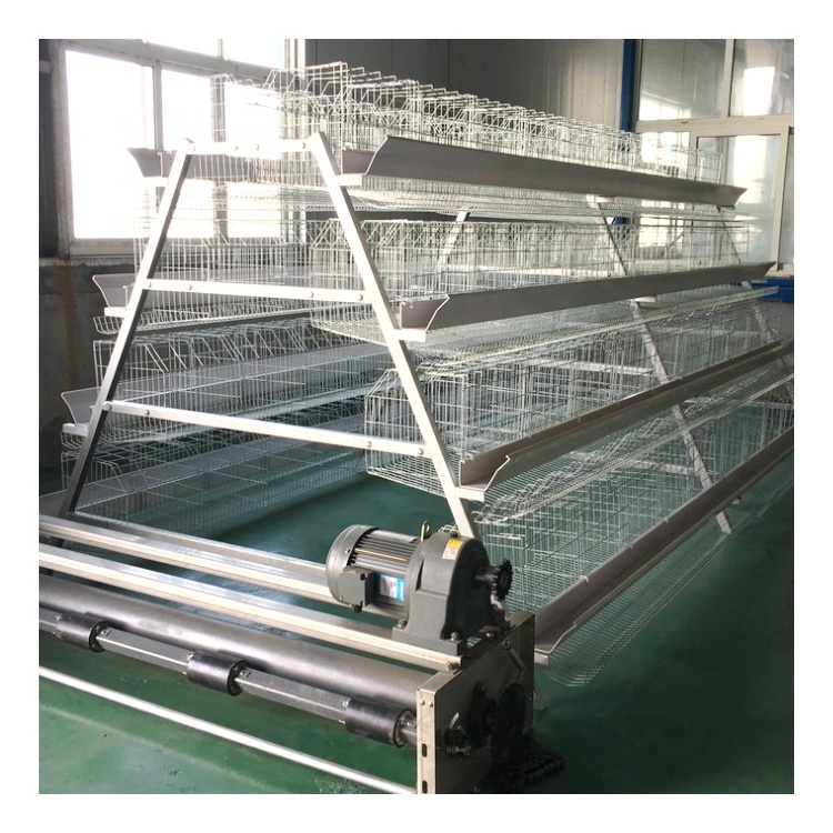 A Type Chicken Layer Fully Automated Battery Cage System for Sale 20 Years Lifetime Hot Galvanized 4 Layers