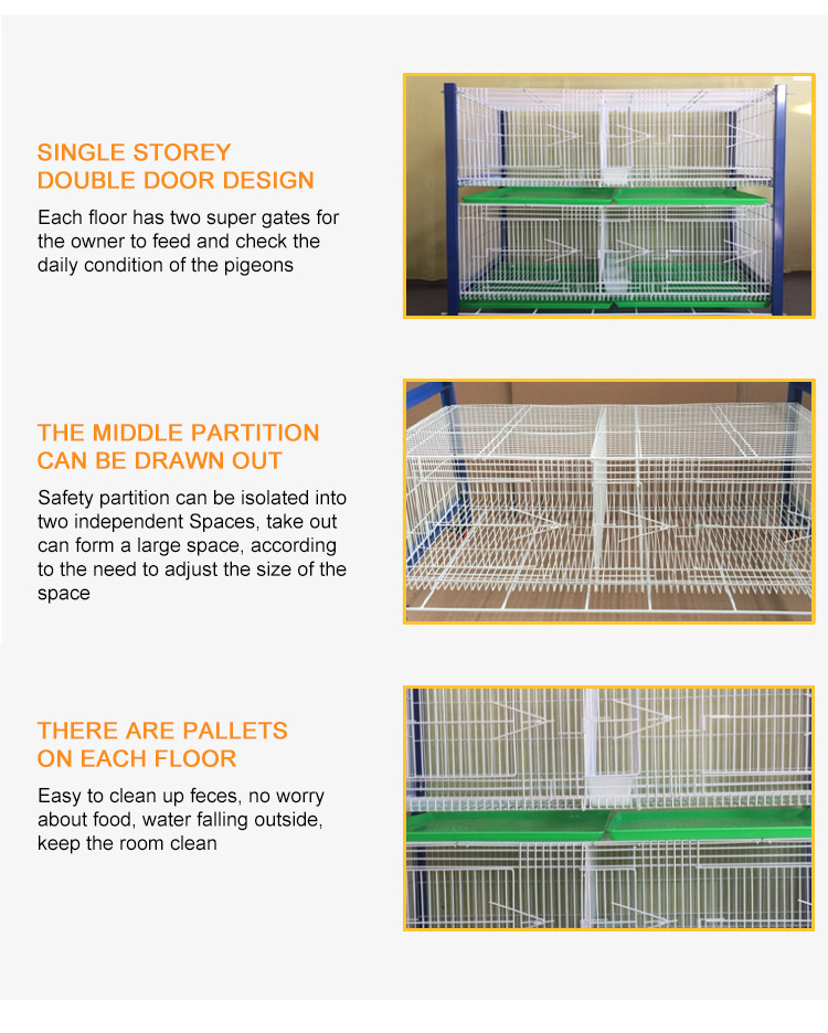 Factory Price Breeding Cage Pigeons / Pigeon Cage For Sale In China