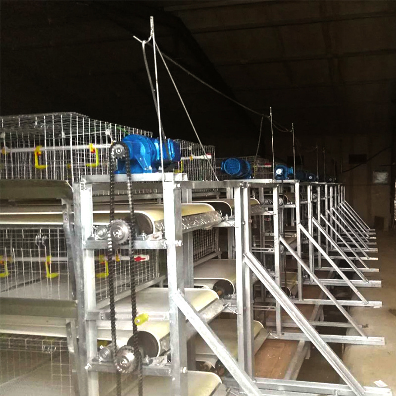 capacity broiler chicken cage broiler system chicken farm layer poultry battery cage