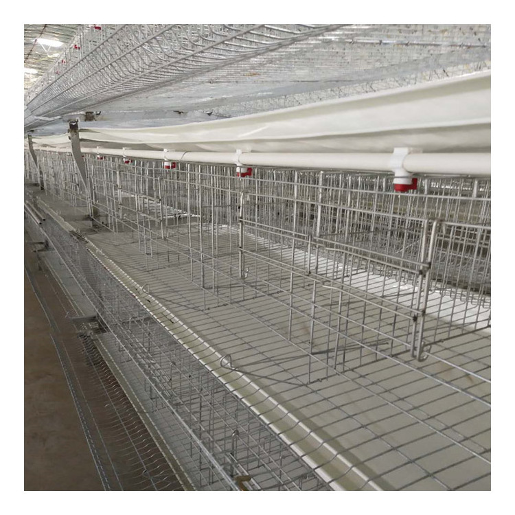 Full automatic baby layer broiler chicken brooder hot galvanized layer small chicken cage for chicken farm