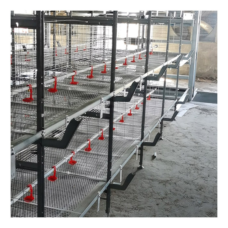 Multi Layer Automatic Battery Metal Chicken Farm Equipment Broiler Rooster Cage