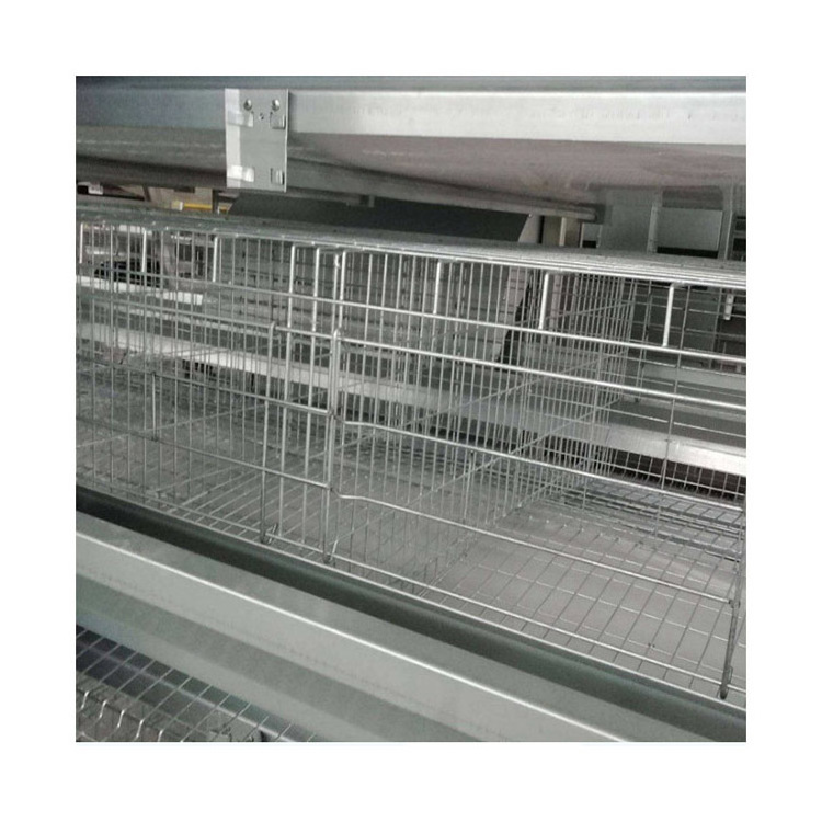 A Type Automatic Poultry Farm Baby Chick Brooder Cage Day Old Chicken Rearing Cage