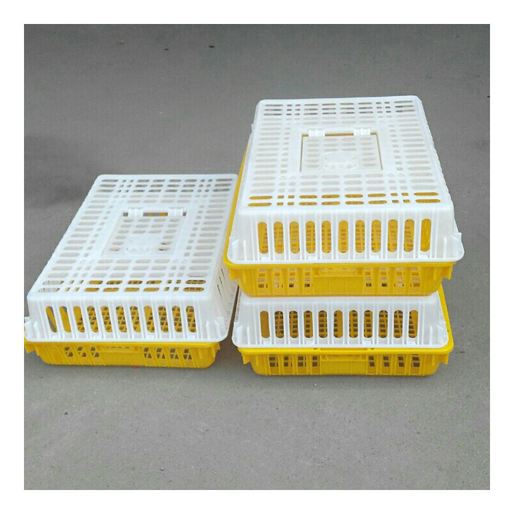 Duck Cage Poultry Transport Cage Live Pigeon Broiler Chicken Transport Cage Chick Transport Box