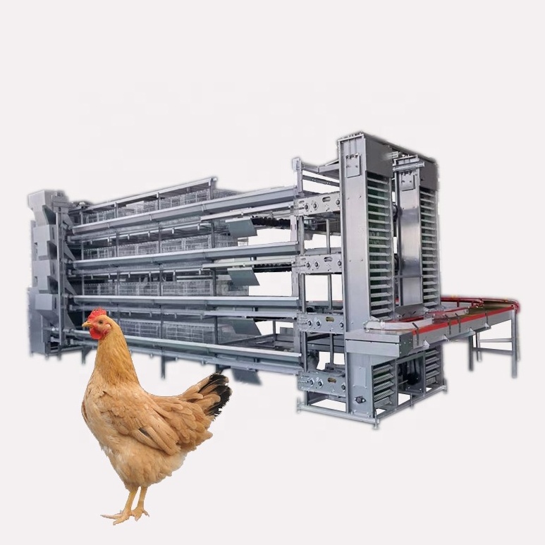 h type layer chicken cage drinker manure conveyor belt