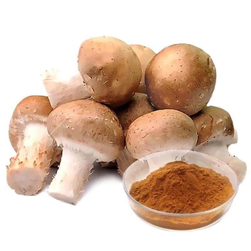 Mushroom Supplement Capsules 450ml 600mg Chaga Lions Mane Reishi Turkey Tail Maitake Agaricus Blazei